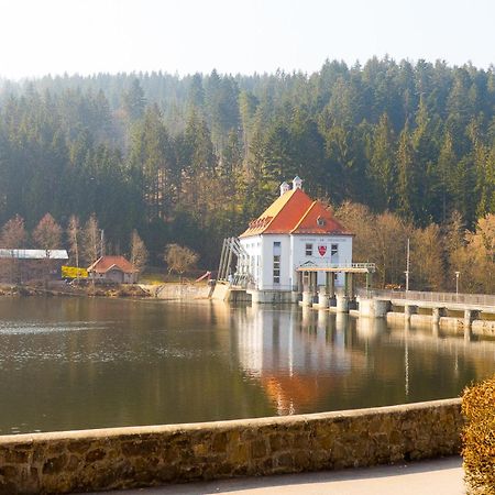 Ferienhaus Nr 15, Typ A, Feriendorf Jaegerpark, Bayerischer Wald Viechtach Eksteriør bilde